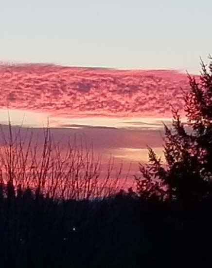 Sunset over a sparse wooded area